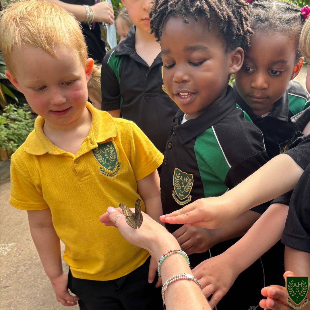 Children watching a butterfly 